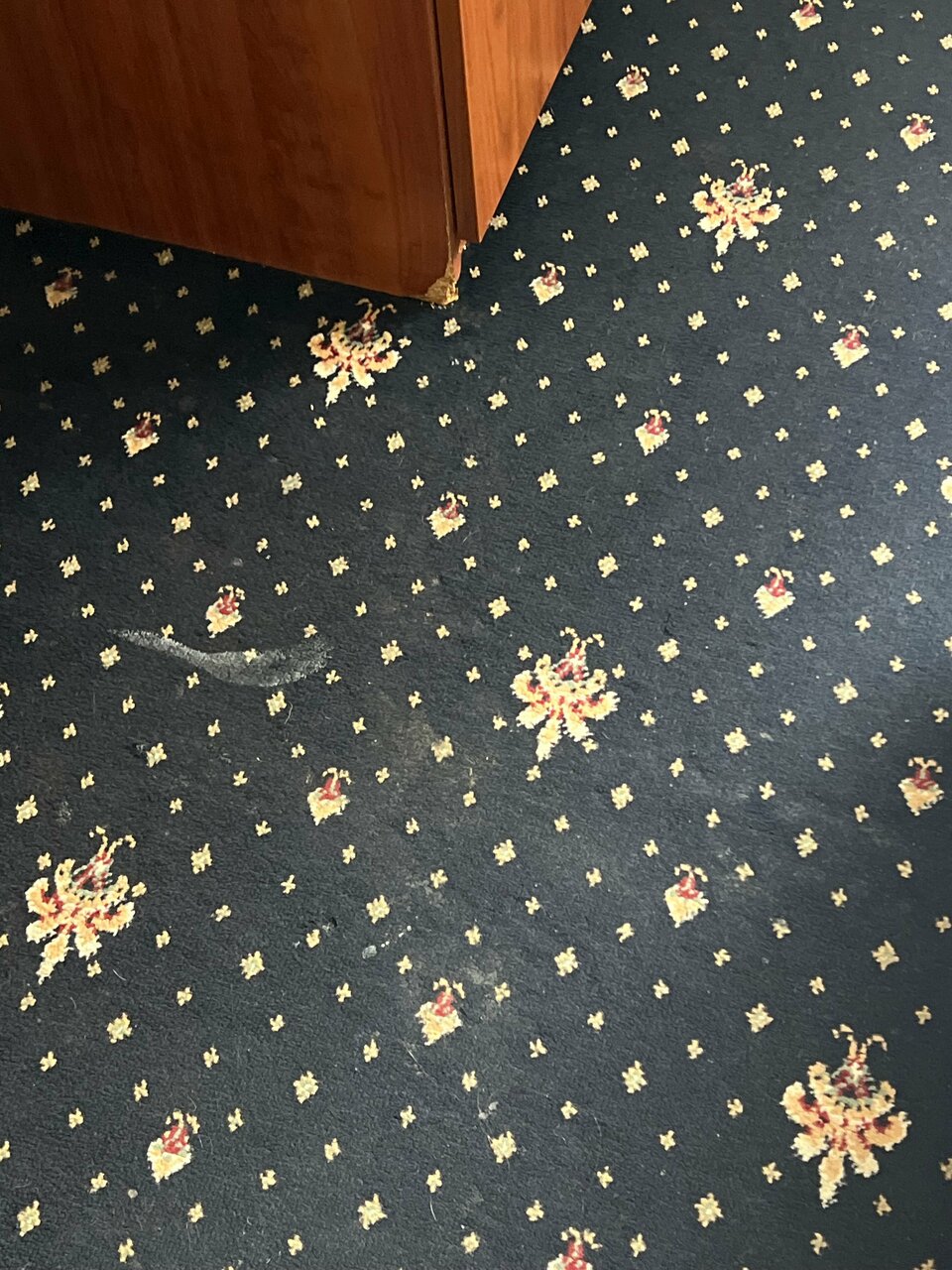 Гостиница Мартон ВДНХ Москва-172