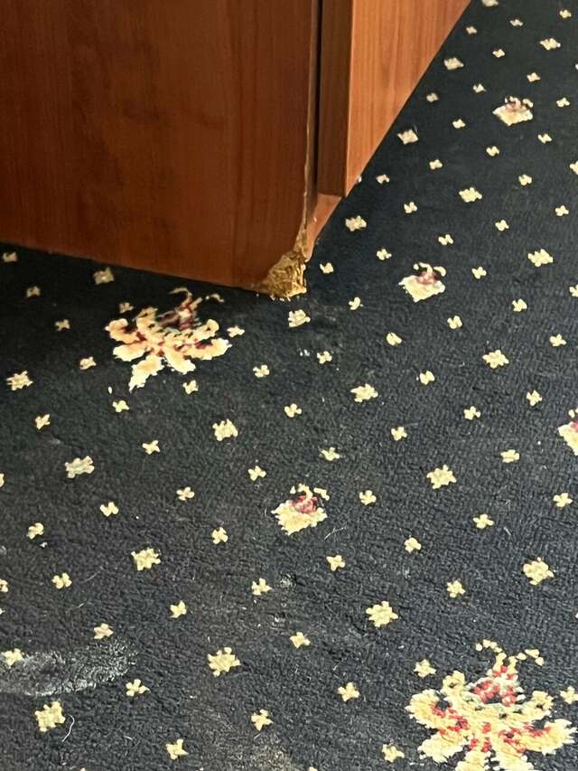 Гостиница Мартон ВДНХ Москва-188